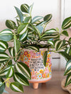 Natural Life Artisan Terracotta Indoor Planter, Medium - World Better