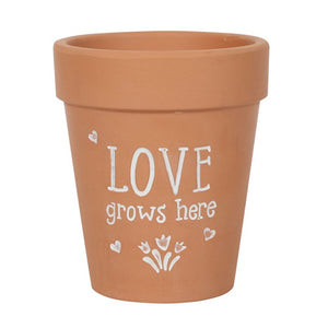 Love Grows Here Terracotta Plant Pot