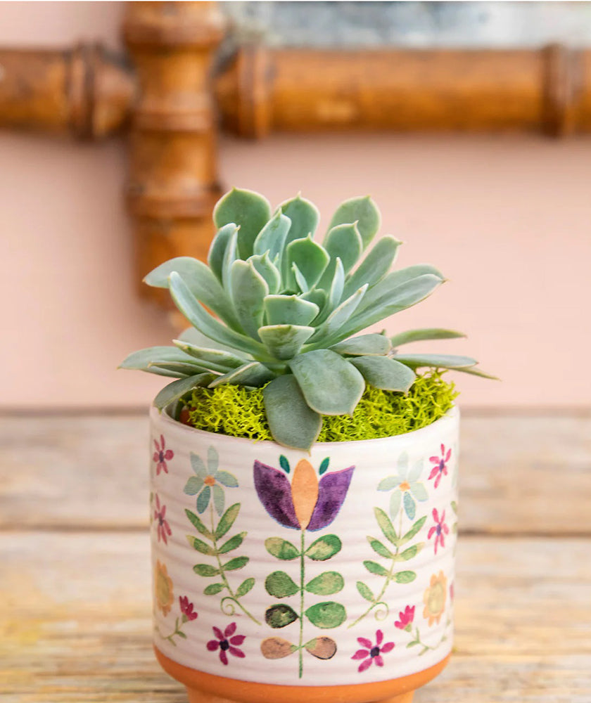 natural life succulent Natural Life Mini Artisan Planter