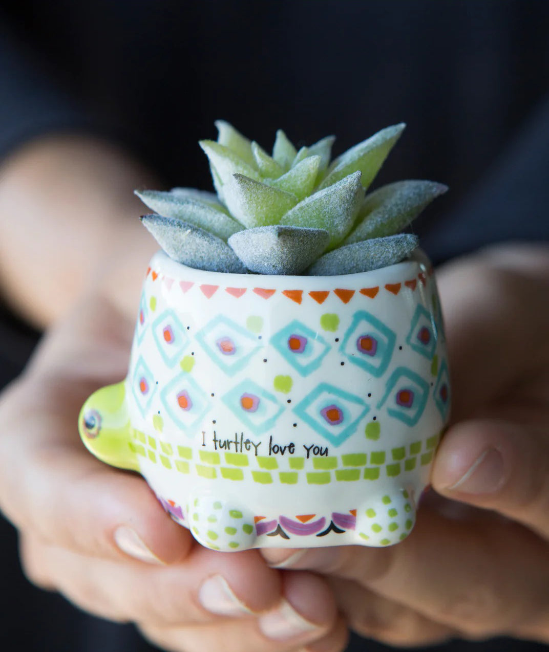 natural life succulents Natural Life Tiny Faux Succulents