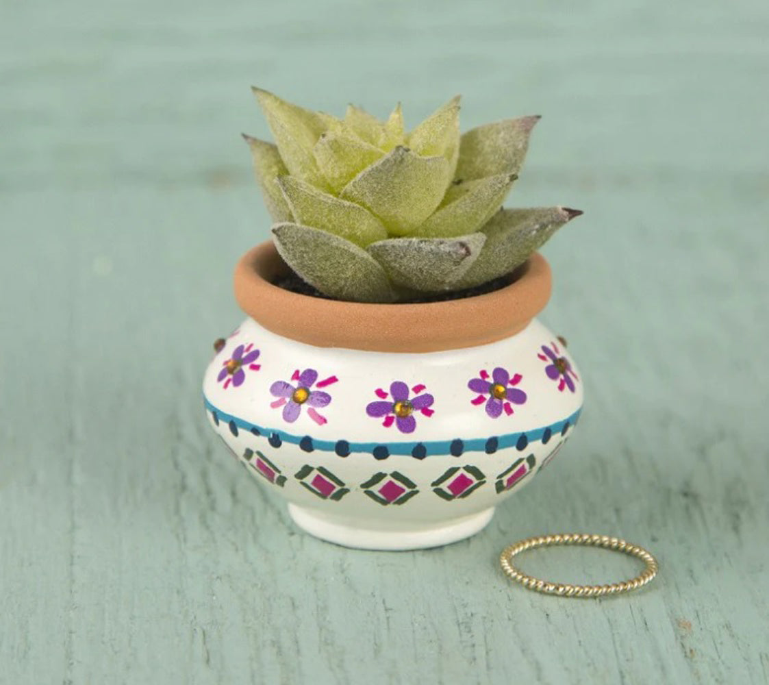 natural life succulent Natural Life Succulent In A Cream & Navy Bud Vase – Festival Outlet UK