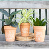 Love Grows Here Terracotta Plant Pot